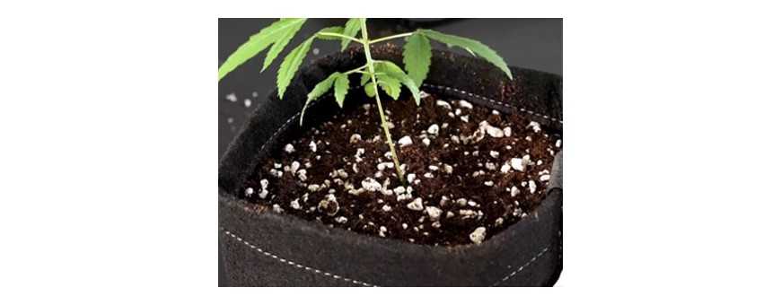 Pots, Trays & Bags