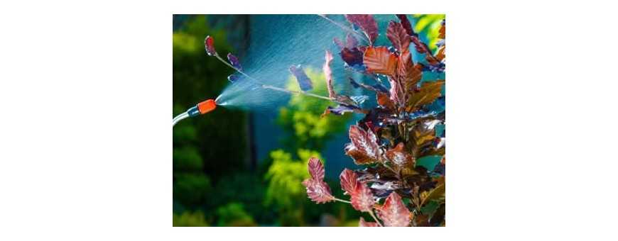 Pest & Disease Control