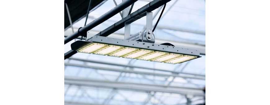 LED Grow Lights