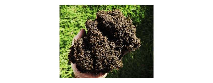 Craft Soil and Mediums