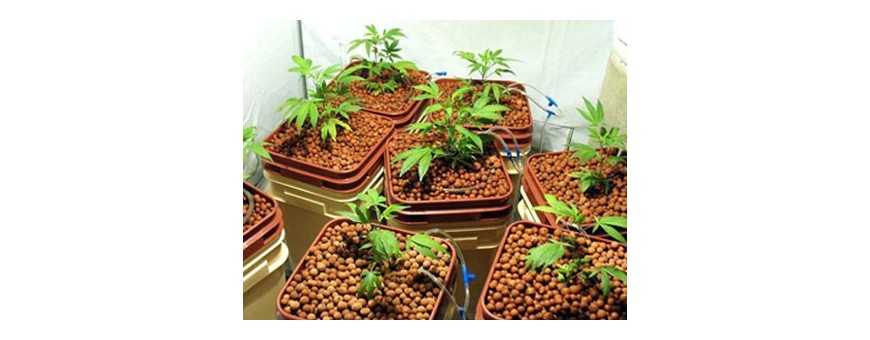 Hydroponic Nutrients
