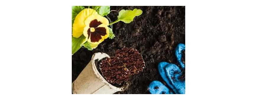 Plant Feeding Additives South Africa | Boosters | Hydrax Hydro
